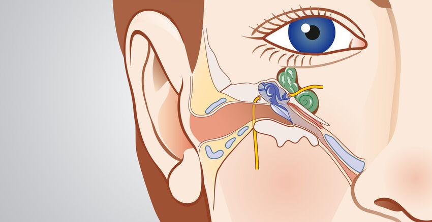 Special ear surgery header picture