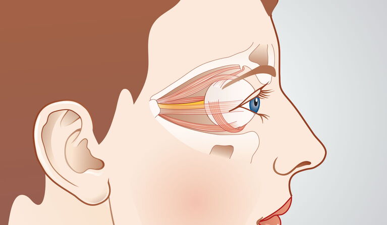 Eye socket teaser pictures