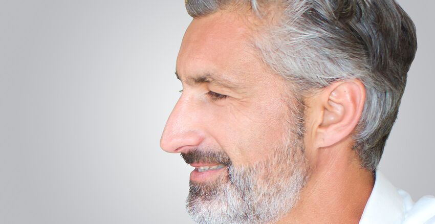 Long nose header picture