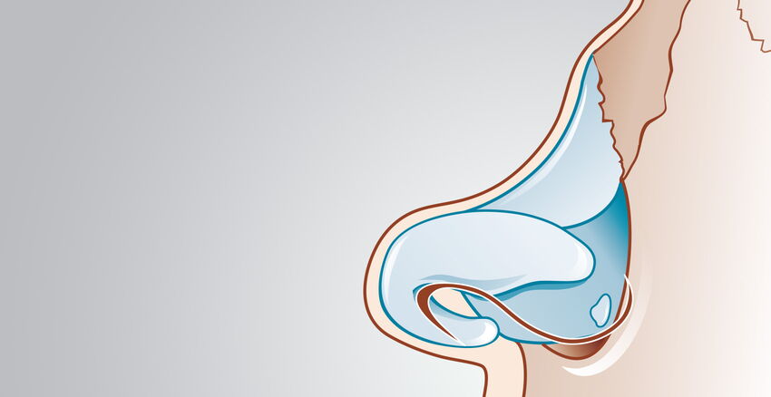 Saddle nose header picture